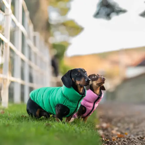 Pet Locker Puffermantel für Hunde