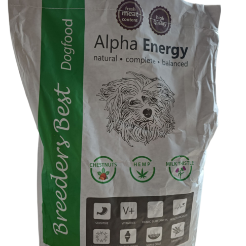 DOGODOG  Energy
