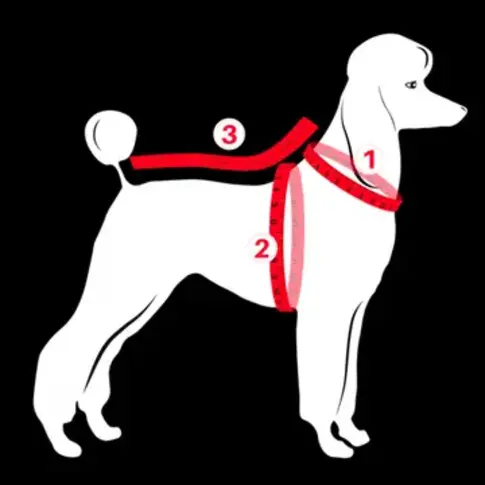 FINNERO SPORT winddichte reflektierende Hundejacke