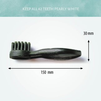 Antos Cerea Brush Large 15 cm 2 Stück