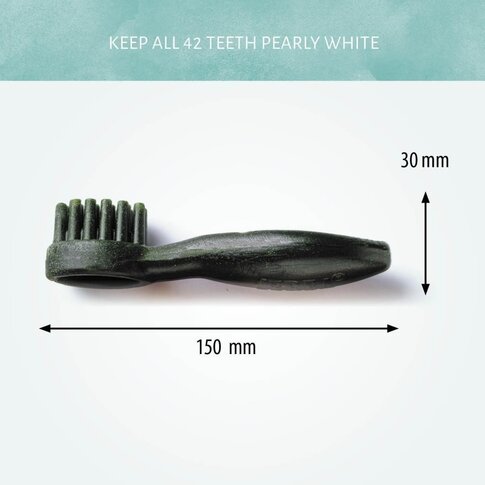 Antos Cerea Brush Large 15 cm 2 Stück