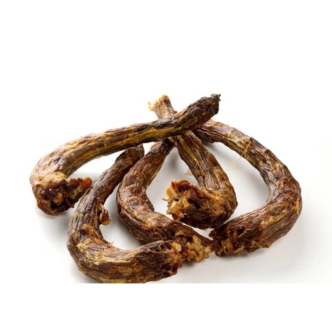 Dogodog XXL Putenhals