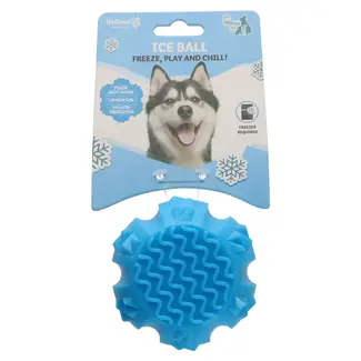 CoolPets Coolpets Eisball