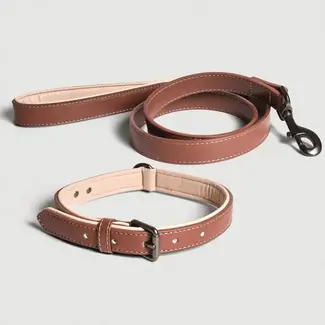 NE&NO Halsband und Leine Set – Veganes Leder