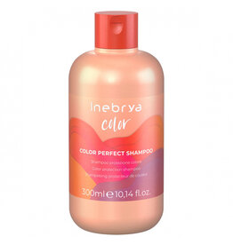 inebrya Inebrya pro color shampoo 300ml