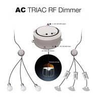 2-kanaals draadloze LED muur dimmer