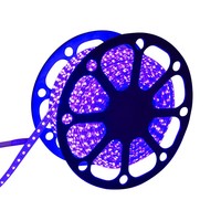 LED Lichtschlauch flach 50m RGB 60 LEDs/m IP65 Plug & Play mit Mini Kontroller schnitt pro Meter