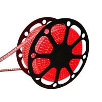 LED Lichtschlauch flach 50m RGB 60 LEDs/m IP65 Plug & Play mit Mini Kontroller schnitt pro Meter
