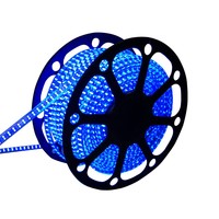 LED Lichtschlauch flach 50m RGB 60 LEDs/m IP65 Plug & Play mit Mini Kontroller schnitt pro Meter