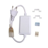 LED Lichtschlauch flach 50m RGB 60 LEDs/m IP65 Plug & Play mit Mini Kontroller schnitt pro Meter