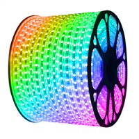 LED Lichtschlauch flach 50m RGB 60 LEDs/m IP65 Plug & Play mit Mini Kontroller schnitt pro Meter