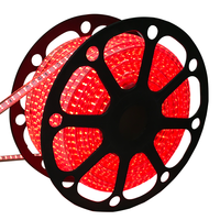 LED Lichtslang 50 meter Rood 180 LEDs per meter IP65 incl. netsnoer Plug & Play