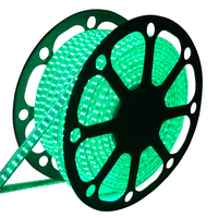 LED Lichtslang 50 meter Groen 180 LEDs per meter IP65 incl. netsnoer Plug & Play