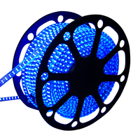 LED-Lichtschlauch 50 Meter Blau 180 LEDS pro meter IP65 inkl. Netzkabel Plug & Play