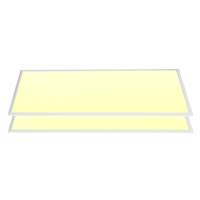 LED paneel 30x60 24W 2400lm 3000K incl. trafo 5 jaar garantie
