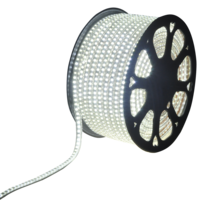 LED Lichtslang plat 50m kleur 6500K daglicht 60 LEDs/m IP65 Plug & Play per 1m in te korten