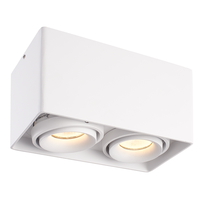Dimmable LED surface mounted ceiling spotlight Esto 2 light GU10 White IP20 tiltable