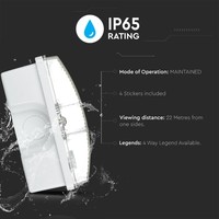 LED Emergency lighting with battery wall/ceiling mounting 3 Watt 6400K IP65 Splashproof Incl. icon with escape route indication