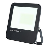 LED Floodlight 50 Watt 160lm/W IP65 4000K 5 year warranty