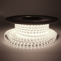 Dimbare LED Strip 25m - Lichtslang 6000K - 60 LEDs/m - IP65 voor buiten en binnen - SMD 2835 - Flex60 Series