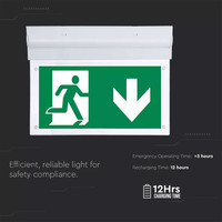 LED Notbeleuchtung mit Akku Aufbauleuchte 2 Watt 6000K Samsung Inkl. Symbol mit Fluchtweganzeige