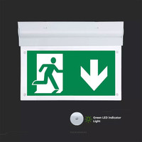 LED Noodverlichting met accu opbouwarmatuur 2 Watt 6000K Samsung Incl. pictogram met vluchtwegaanduiding