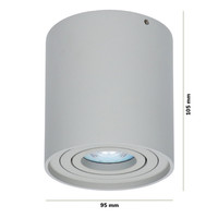 Dimmbare LED Deckenaufbaustrahler Ray 2700K Inkl. GU10 Grau IP20 Schwenkbar