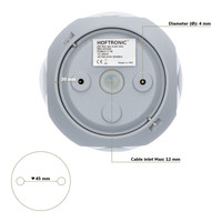 Austin LED wandlamp - 3000K warm wit - Rondom verlicht - Vierzijdig oplichtend - 4 watt - Up & down - Rond - Globe - Voor buiten en binnen - Grijs