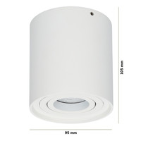 Dimmable LED surface mounted ceiling spotlight Ray White IP20 tiltable excl. light source