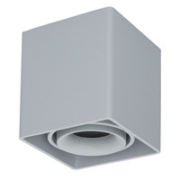 Dimbare LED opbouw plafondspot Esto GU10 Grijs IP20 kantelbaar excl. lichtbron