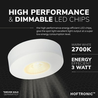 LED Opbouwspot Pavo - Wit - 3 Watt - 2700K - 260lm - Ø69 mm - Zeer dun 23mm
