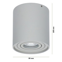Dimbare LED Opbouwspot Ray Grijs 5W 6000K IP20 kantelbaar