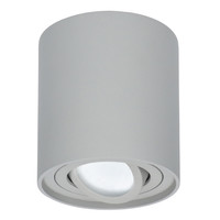 Dimbare LED Opbouwspot Ray Grijs 5W 6000K IP20 kantelbaar