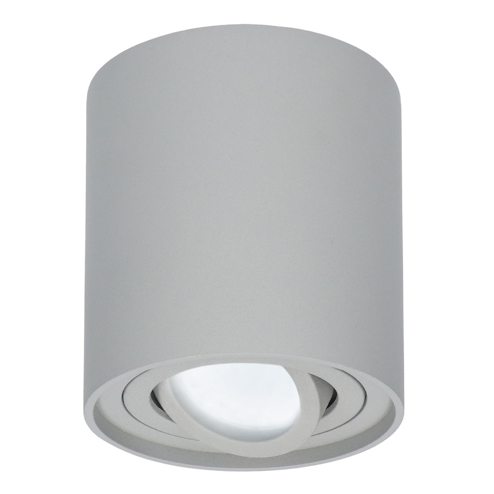 Dimbare LED Opbouwspot/plafondspot Ray Grijs 5W 6000K IP20 kantelbaar