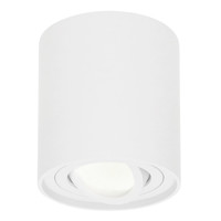 Dimbare LED Opbouwspot Ray Wit 5W 4000K IP20 kantelbaar