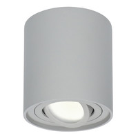 Dimbare LED Opbouwspot Ray Grijs 5W 4000K IP20 kantelbaar