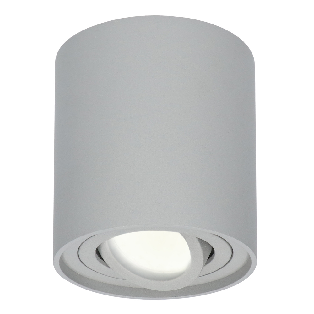 Dimbare LED Opbouwspot/plafondspot Ray Grijs 5W 4000K IP20 kantelbaar