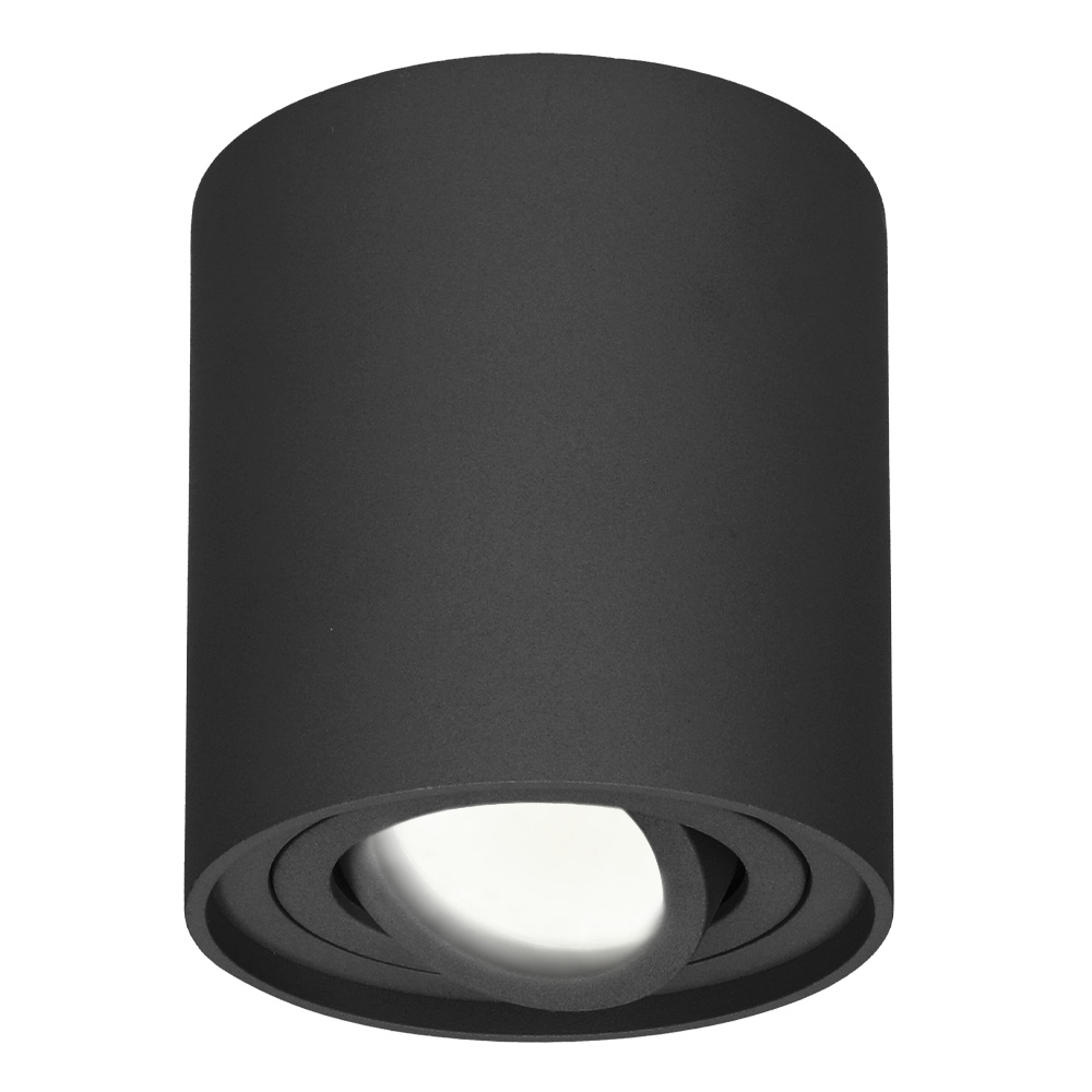 HOFTRONIC™ Dimbare LED Opbouwspot Ray Zwart 5W 4000K IP20 kantelbaar