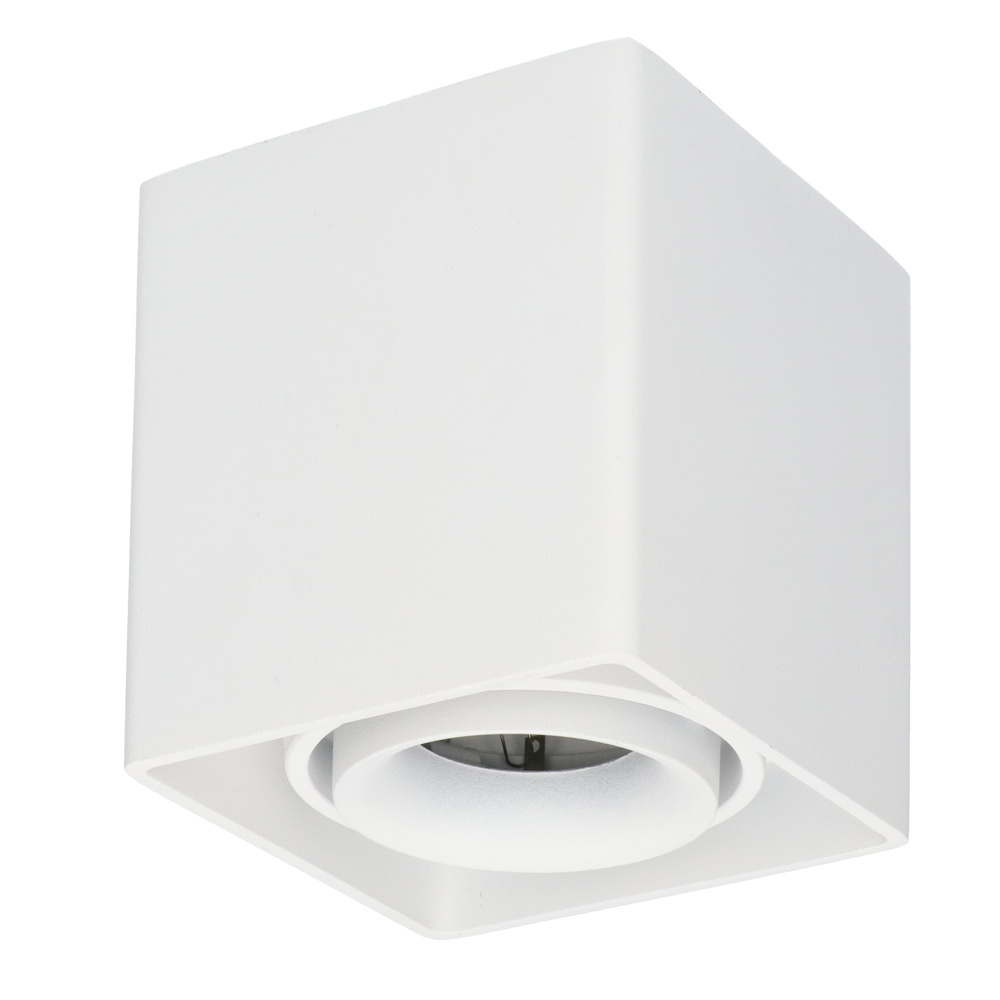 Dimbare LED Opbouwspot/plafondspot plafond Esto Wit incl. GU10 spot 5W 6000K IP20 kantelbaar