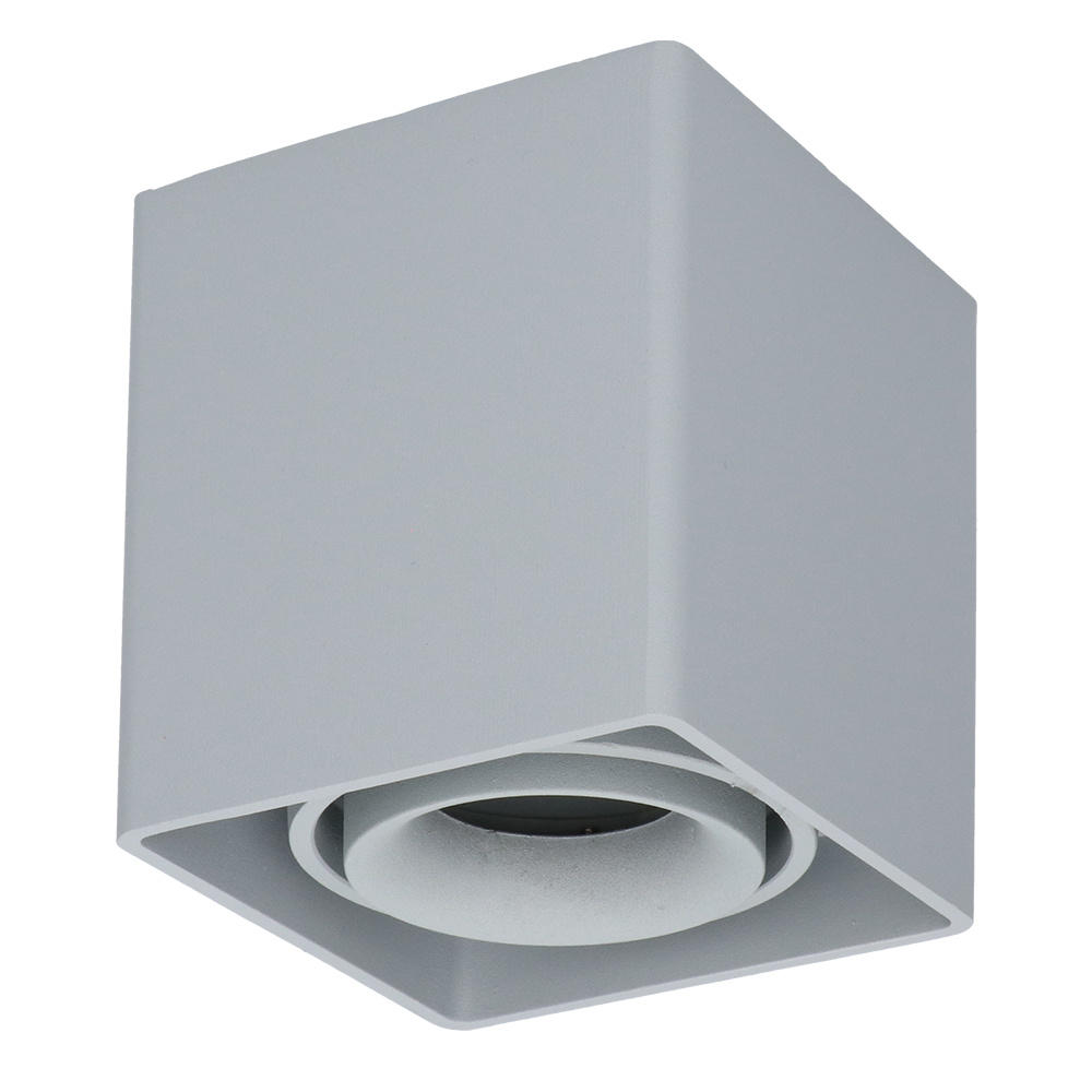 Dimbare LED Opbouwspot/plafondspot plafond Esto Grijs incl. GU10 spot 5W 4000K IP20 kantelbaar afbeelding
