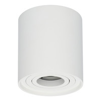 Dimmable LED surface mounted ceiling spotlight Ray White IP20 tiltable excl. light source