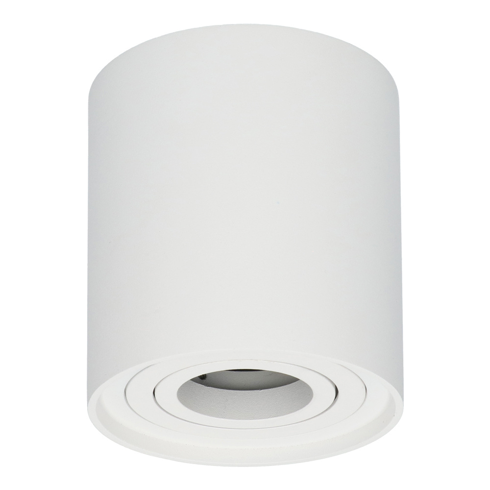 Dimbare LED Opbouwspot/plafondspot plafond Ray Wit incl. GU10 spot 5W 2700K IP20 kantelbaar