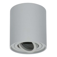 Dimmbare LED Deckenaufbaustrahler Ray 2700K Inkl. GU10 Grau IP20 Schwenkbar