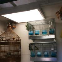 Aufputzrahmen für Hoftronic LED-Panels 62x62 cm