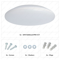 LED Bulkhead 30 cm - Plafondlamp - 18W 2100 Lumen - CCT lichtkleur instelbaar - IK10 - Wit - IP65 Waterdicht
