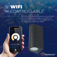 Intelligenter WiFi LED Wandleuchte Douglas Schwarz WW-CW GU10 IP65 doppelseitig leuchtend