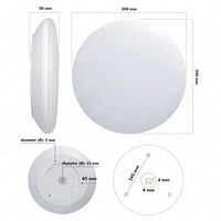 LED Bulkhead 30 cm - Plafondlamp - 18W 2100 Lumen - CCT lichtkleur instelbaar - IK10 - Chroom - IP65 Waterdicht