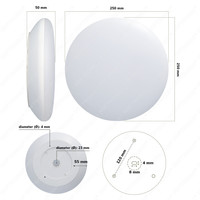 Dimmbare LED Deckenleuchte 12W einstellbare Lichtfarbe - 1300lm - IK10 - Ø25 cm - Chrom - IP65
