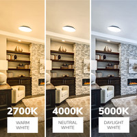 LED Bulkhead 30 cm - Plafondlamp - Wandlamp - 18W 2100 Lumen - CCT lichtkleur instelbaar - IK10 - Zwart - IP65 Waterdicht
