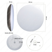 LED Bulkhead 30 cm - Plafondlamp - WiFi + Bluetooth - 18W 1800 Lumen - Lichtkleur instelbaar - Dimbaar - IK10 - RVS - IP65 Waterdicht